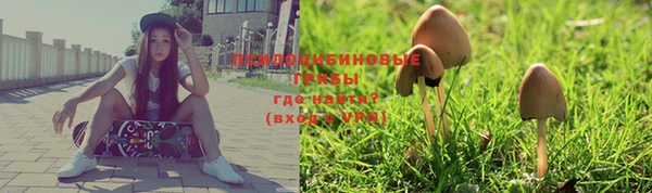 не бодяженный Приозерск