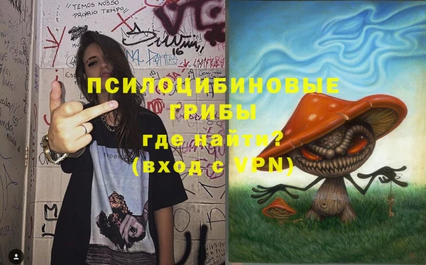 индика Пролетарск