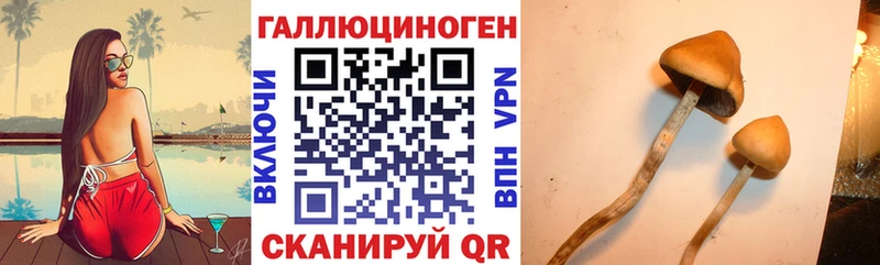 кракен Усолье Псилоцибиновые грибы ЛСД